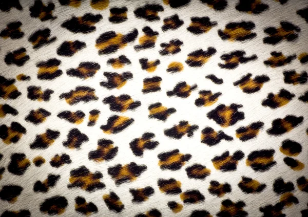 Struttura della pelle di leopardo — Foto Stock