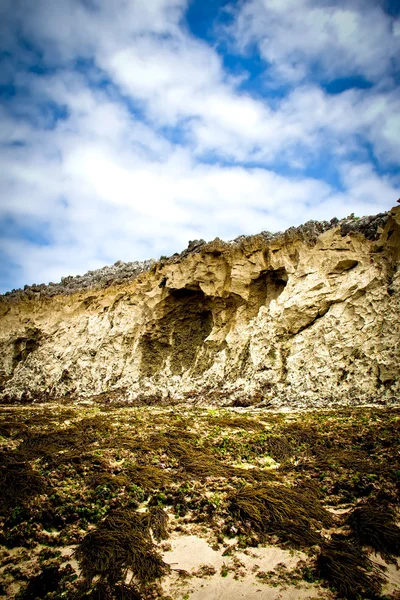 Rotsachtig strand — Stockfoto