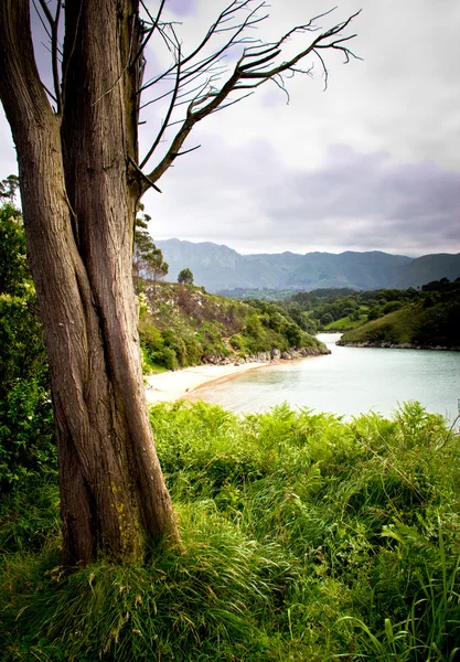 Felsstrand — Stockfoto