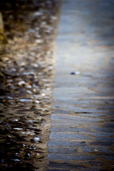 Rue pavée — Photo