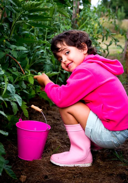 Little girl in orchard — Stock Photo, Image