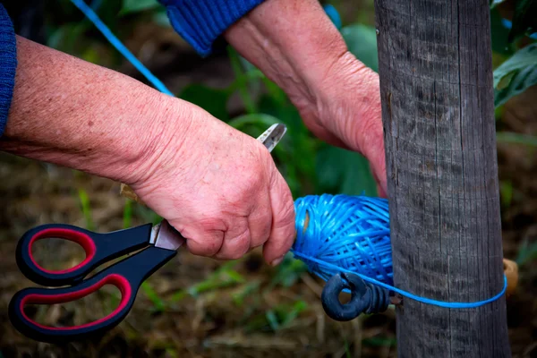 Travailler les mains — Photo