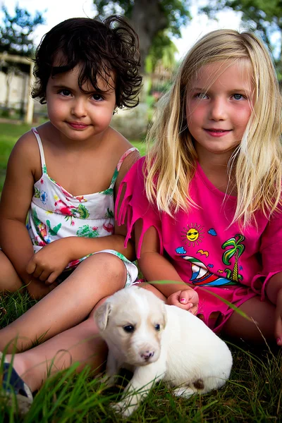 Маленькі дівчата з цуценям — стокове фото