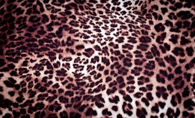 leopar doku