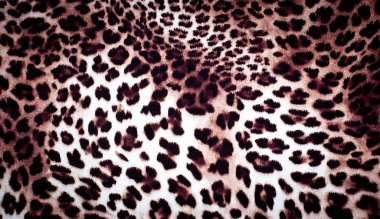 leopar doku