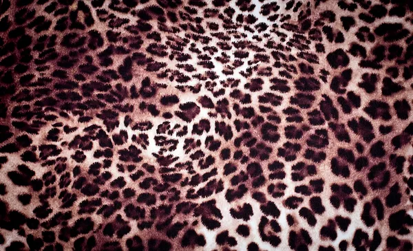 Textura de leopardo —  Fotos de Stock