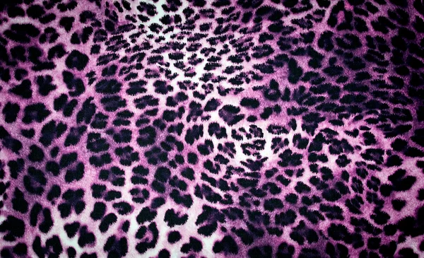 Texture léopard — Photo