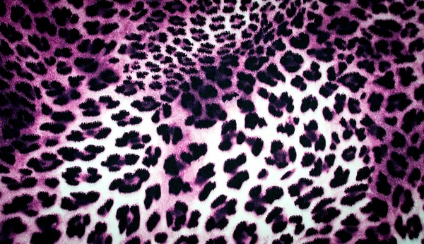 Leopard textuur — Stockfoto