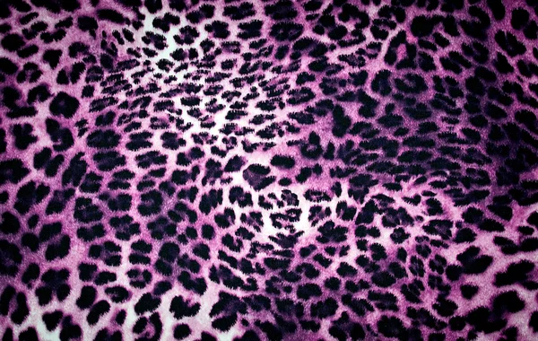 Textura de leopardo —  Fotos de Stock