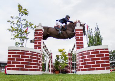 Horse jumping competition clipart
