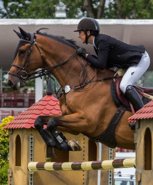 At binme yarışması