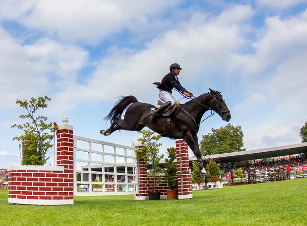 Horse jumping competition — Stock Photo, Image