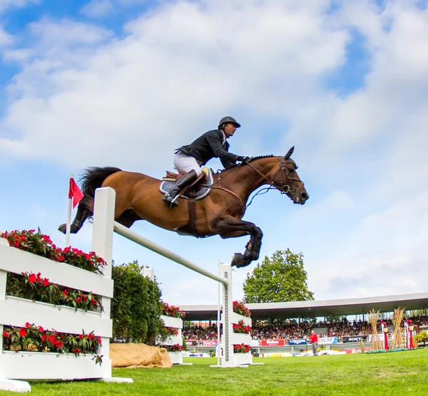 Horse jumping competition — Stock Photo, Image