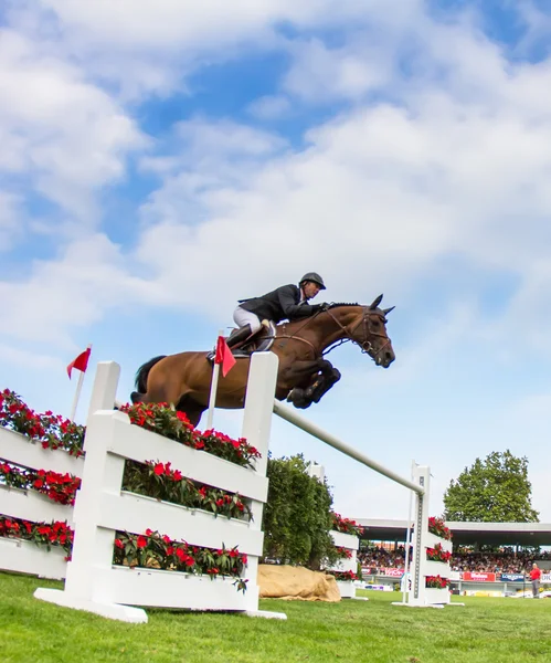 Concours de saut à cheval — Photo