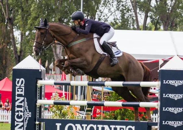 Concours de saut à cheval — Photo