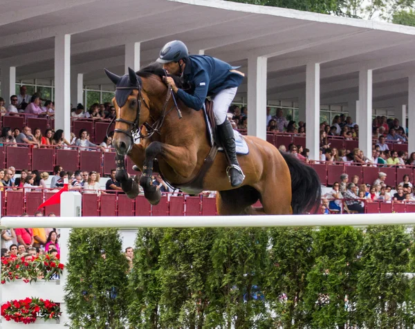 Horse jumping competition — Stock Photo, Image