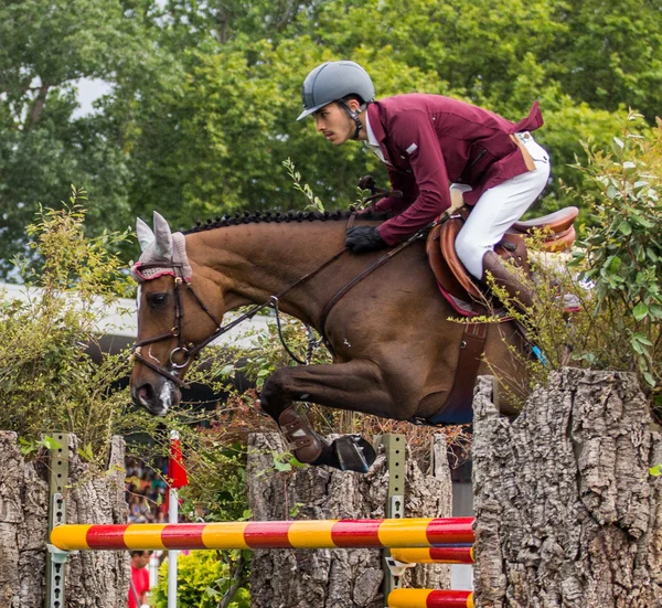 Competição de salto de cavalo — Fotografia de Stock