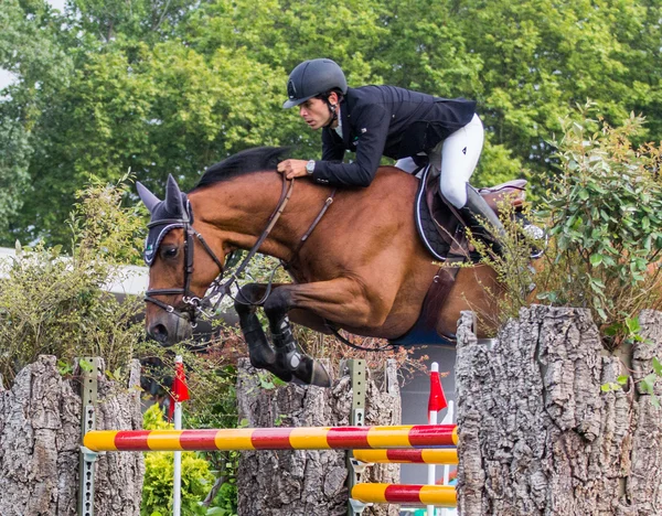 Horse jumping competition — Stock Photo, Image