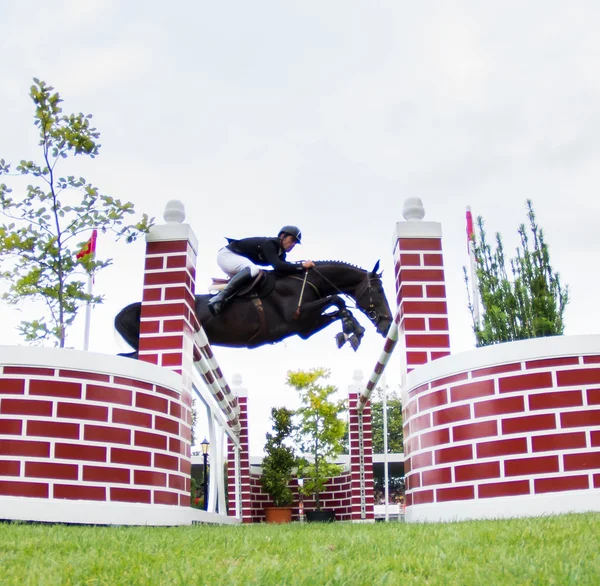 Horse jumping competition — Stock Photo, Image