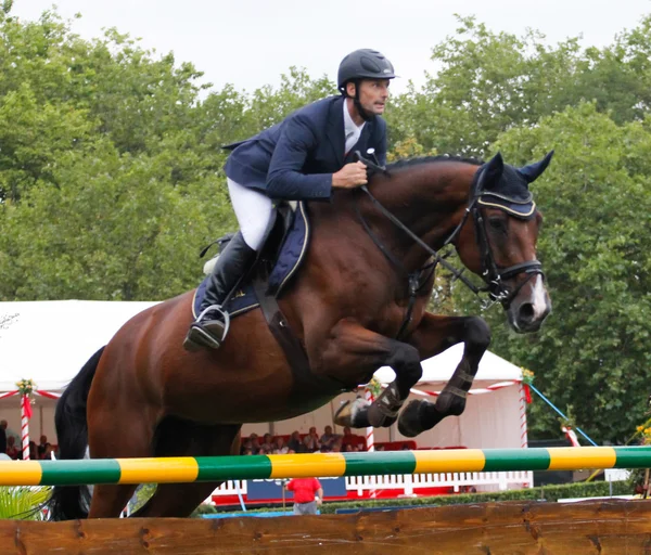 Horse jumping competition — Stock Photo, Image