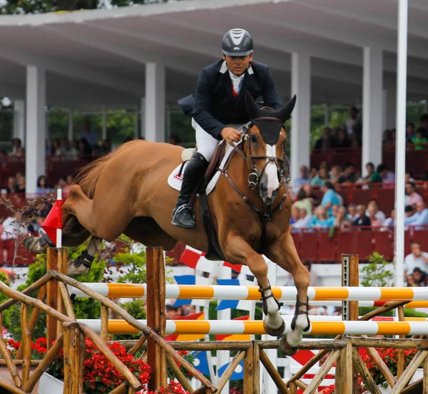 Concours paardenspringen — Stockfoto