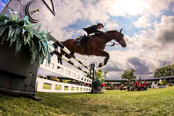 Horse jumping competition — Stock Photo, Image
