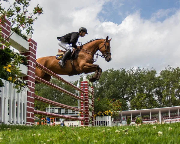 Caballo competencia de salto — Foto de Stock