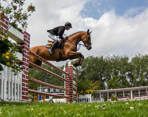 Horse jumping competition