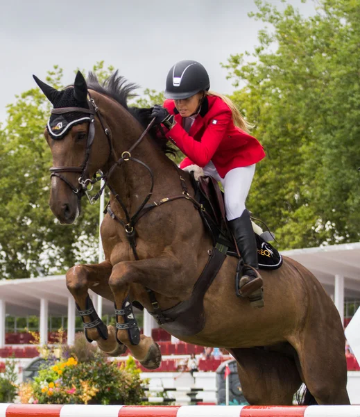 Horse jumping competition — Stock Photo, Image