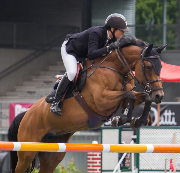 Caballo competencia de salto — Foto de Stock