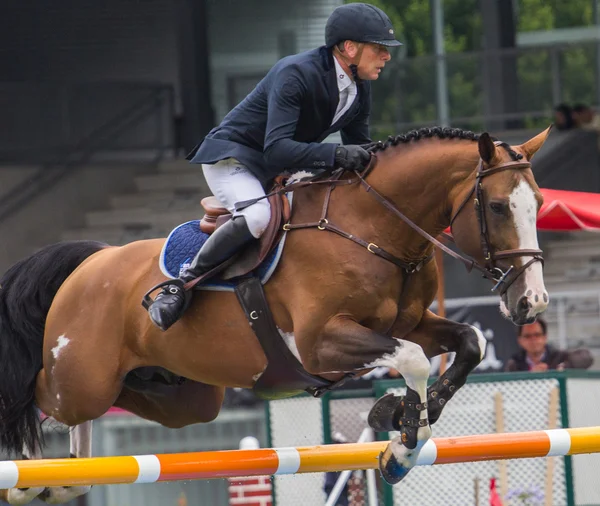 Competição de salto de cavalo — Fotografia de Stock