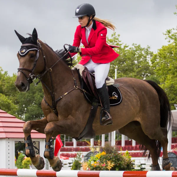 Horse jumping competition — Stock Photo, Image