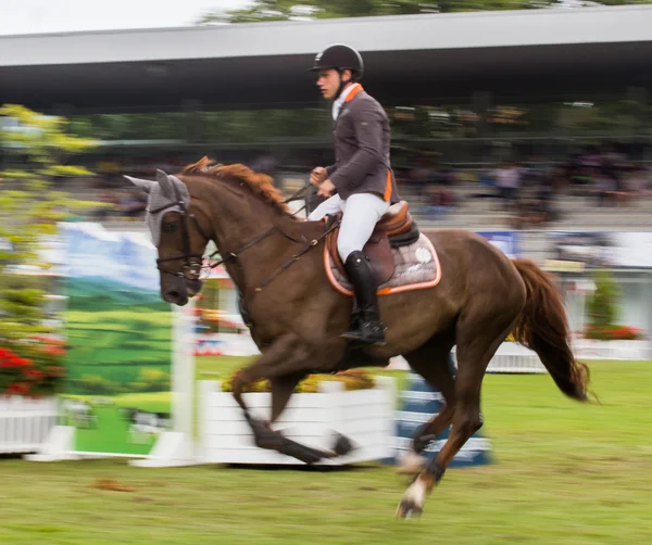 Concours de saut à cheval — Photo