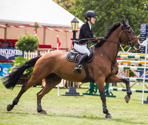 Horse jumping competition — Stock Photo, Image