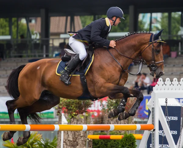 Competição de salto de cavalo Imagem De Stock