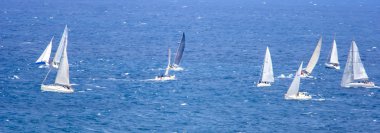 Yelkenli grubunun regatta