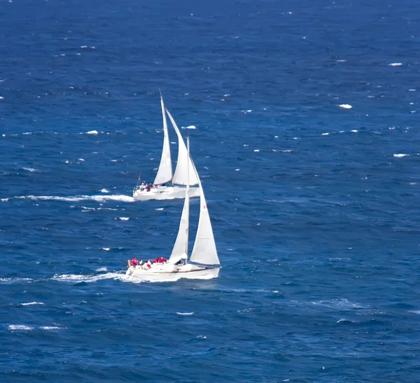 Regata di gruppo barca a vela — Foto Stock