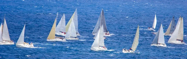 Regata de grupo velero — Foto de Stock