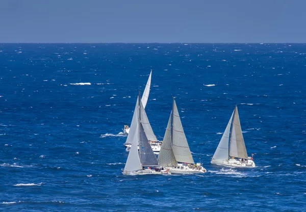 Zeilboot groep regatta — Stockfoto