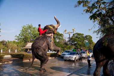 Songkran Festivali
