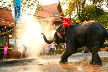 Songkran Festivali