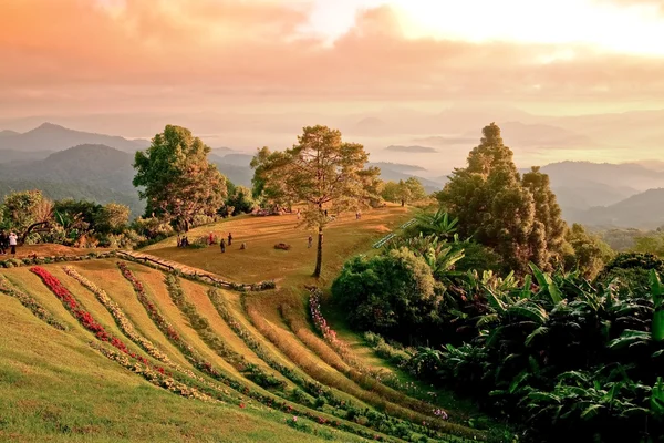 Landscape on a mountain — Stock Photo, Image