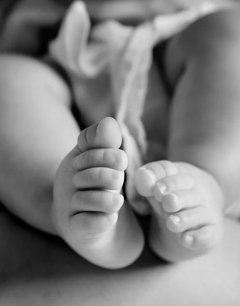 New born baby feet from below — Stock Photo, Image