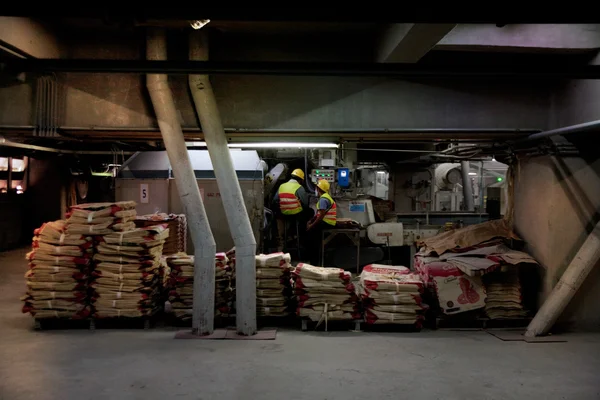 Cement factory workers — Stock Photo, Image