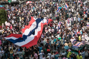 protestocular