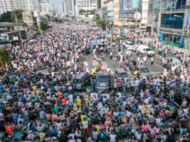 protestocular