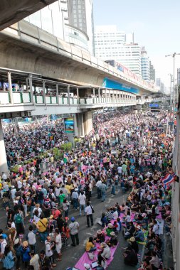 protestocular