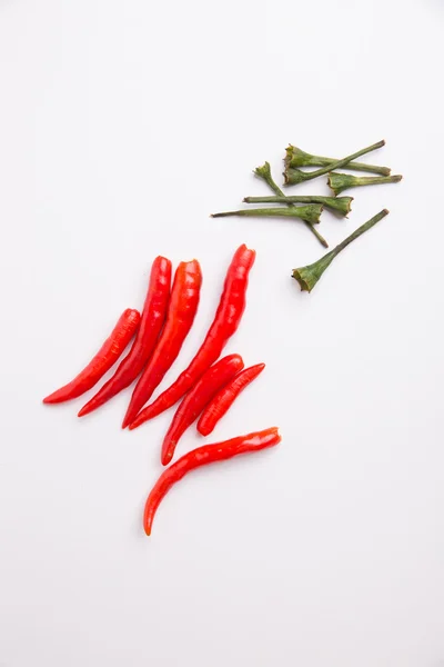 Chilli — Stock fotografie