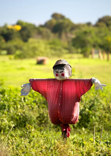 Espantapájaros en rojo —  Fotos de Stock