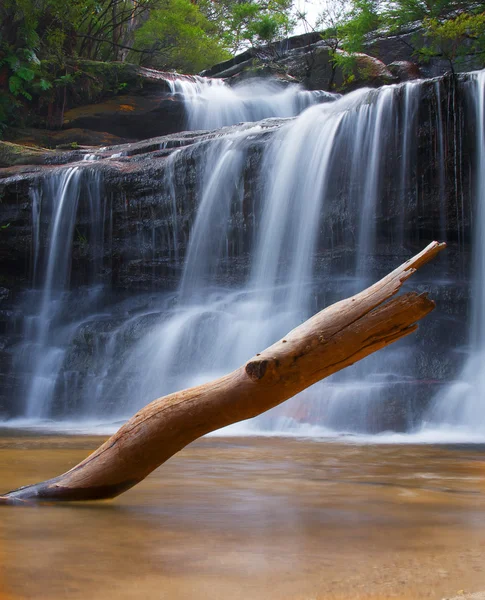 Waterfall and log — Stock Photo, Image